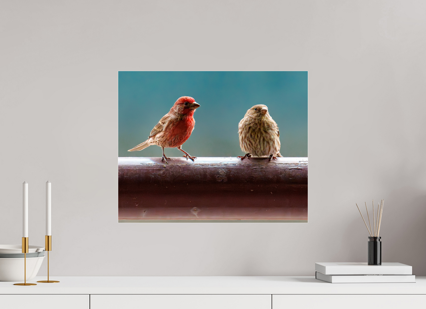 50 x 40 cm, Photo Print Under Acrylic Glass House Finches
