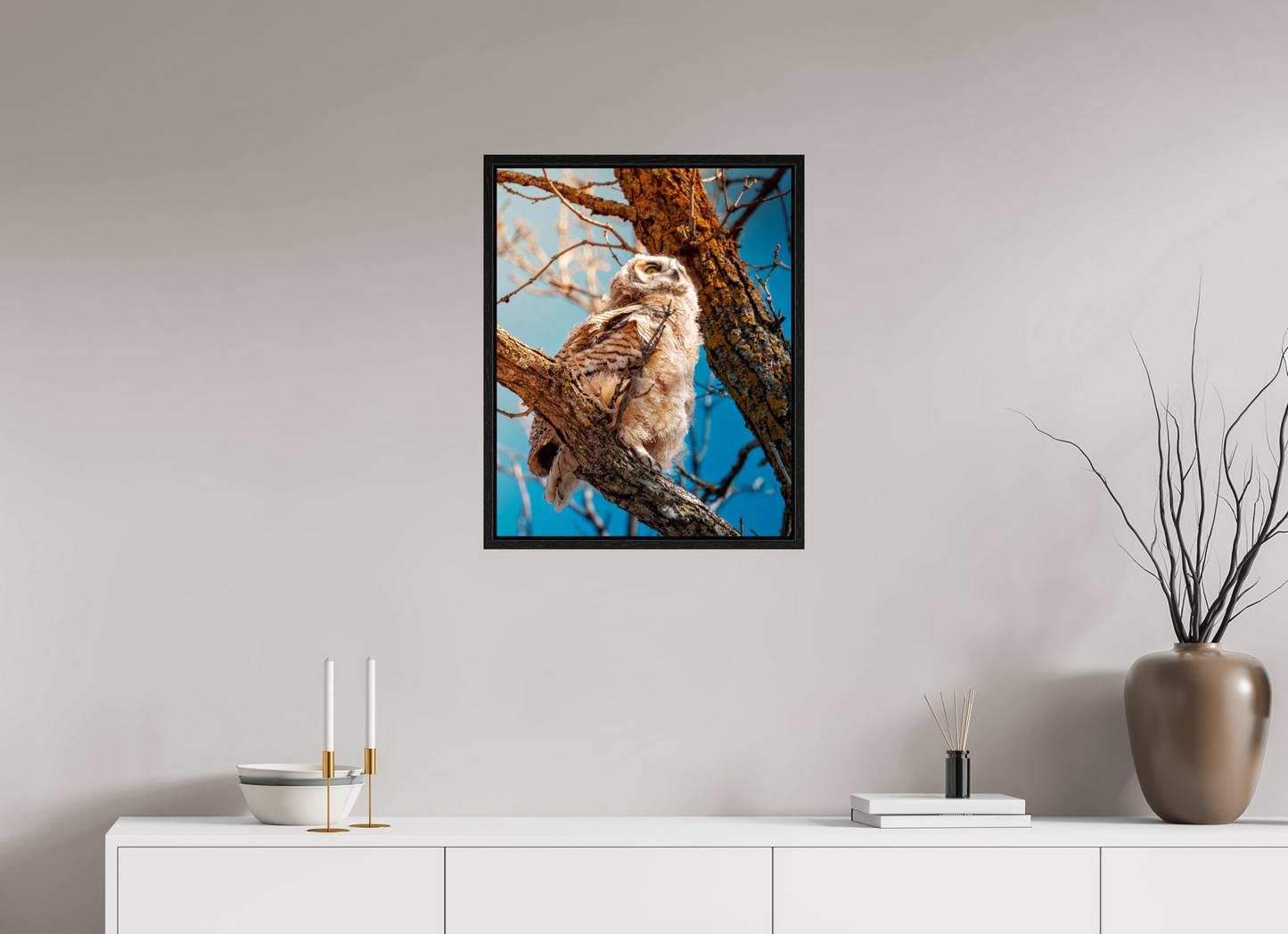 50 x 62.5 cm, Floater Frame Baby Great Horned Owl