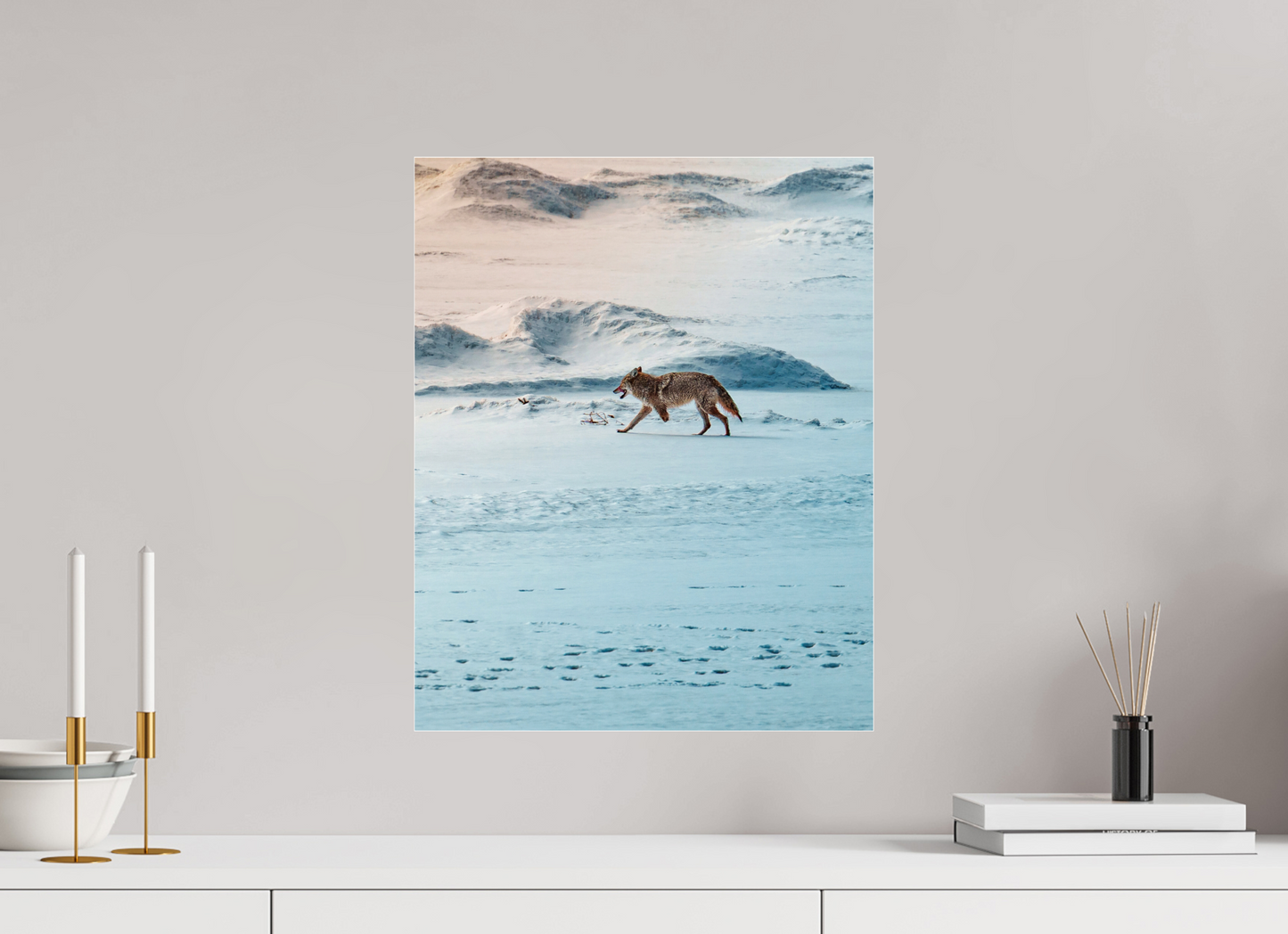 40 x 50 cm, Photo Print Under Acrylic Glass Coyote on the frozen river