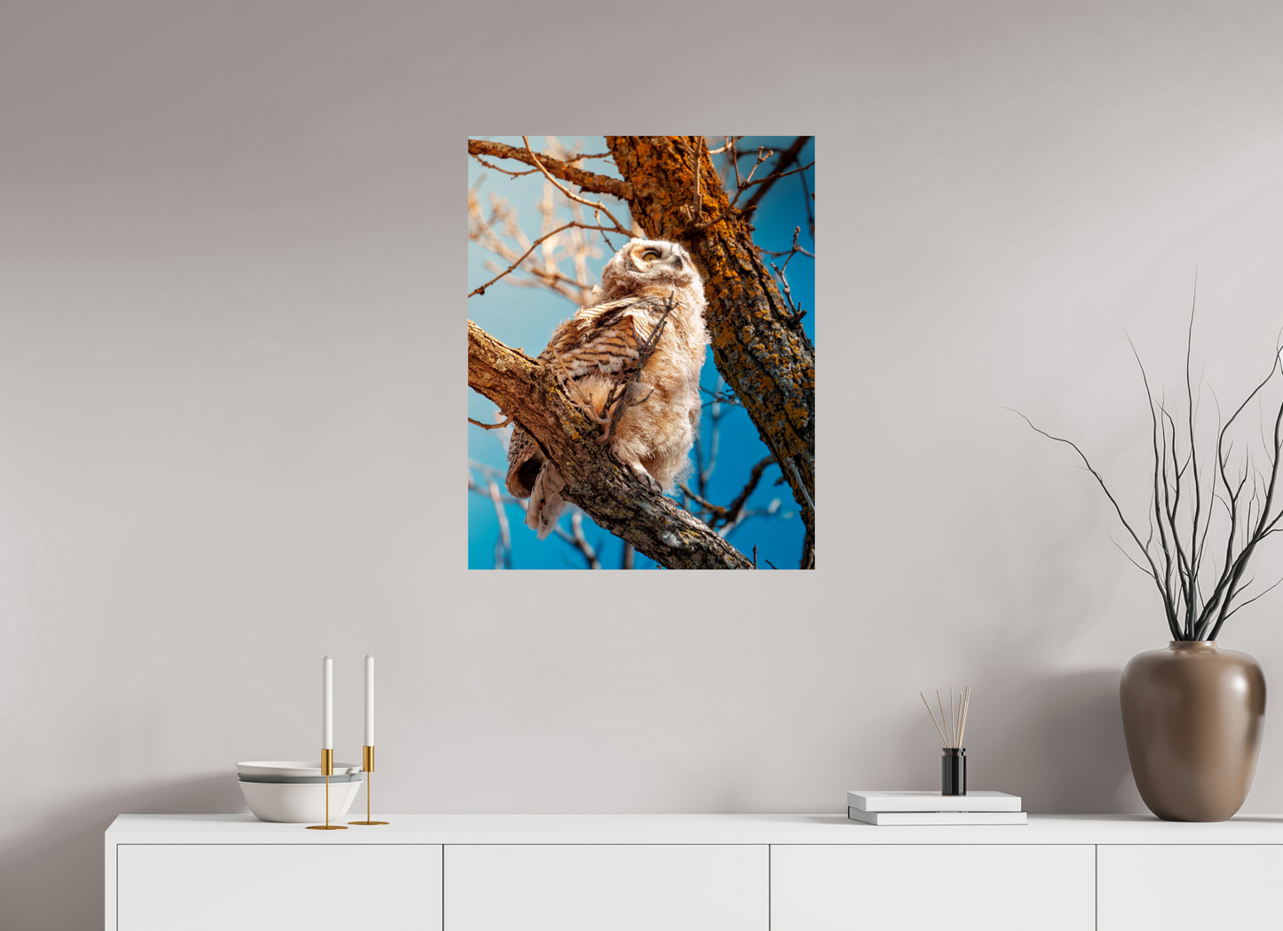 60 x 75 cm, Photo Print On Fuji Crystal DP II Baby Great Horned Owl