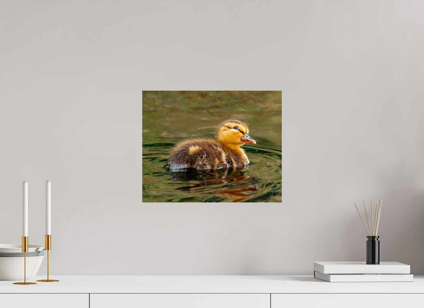 37.5 x 30 cm, Photo Print On Fuji Crystal DP II Baby Mallard