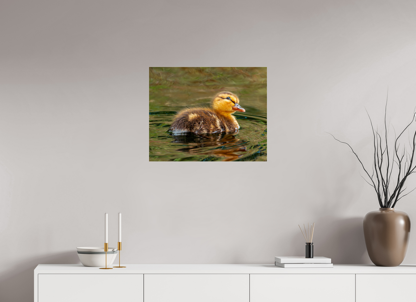 62.5 x 50 cm, Photo Print Under Acrylic Glass Baby Mallard