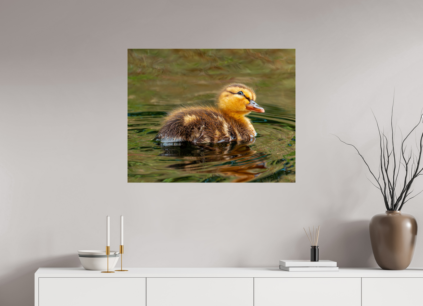 87.5 x 70 cm, Photo Print Under Acrylic Glass Baby Mallard