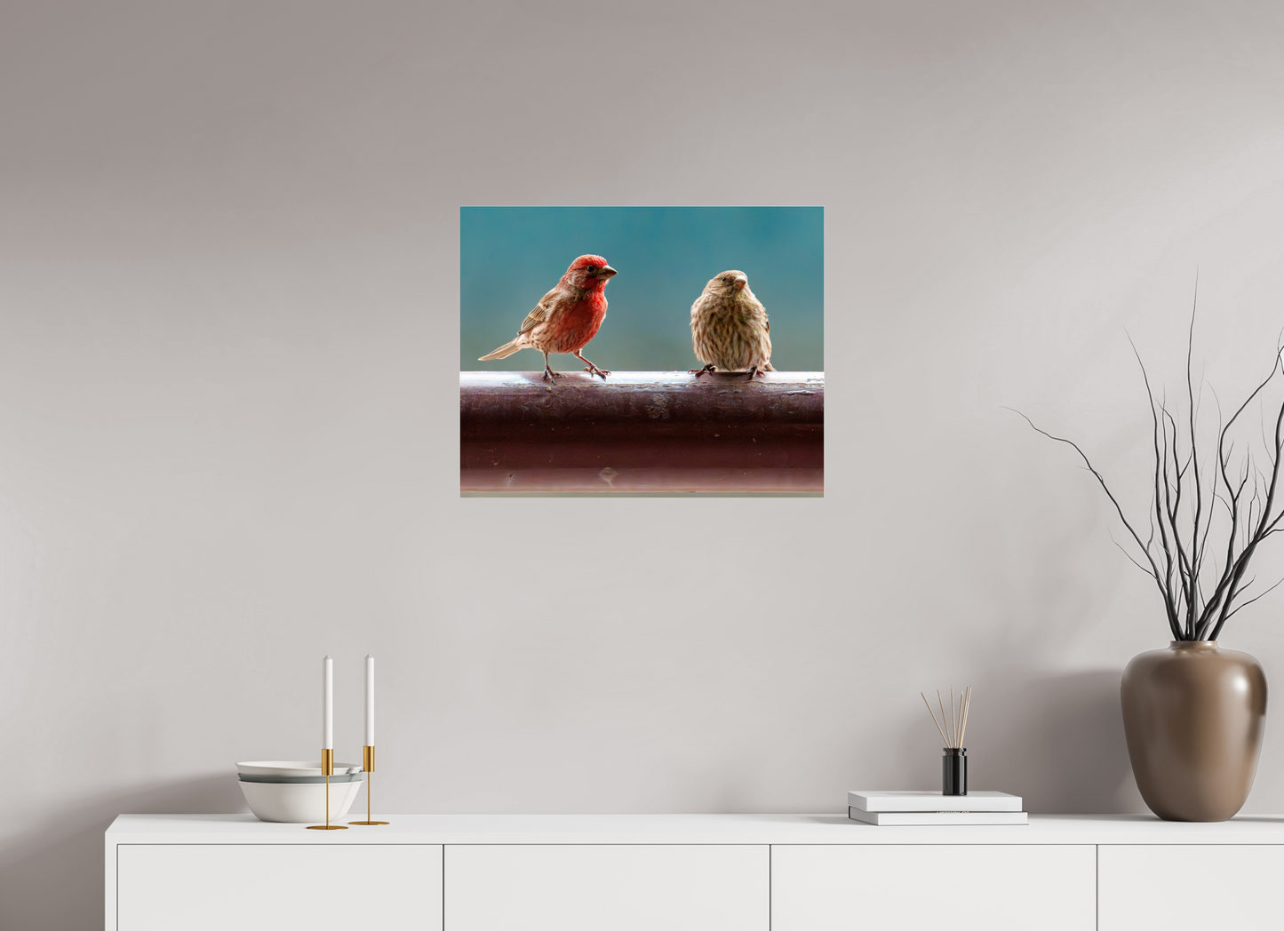 62.5 x 50 cm, Photo Print Under Acrylic Glass House Finches