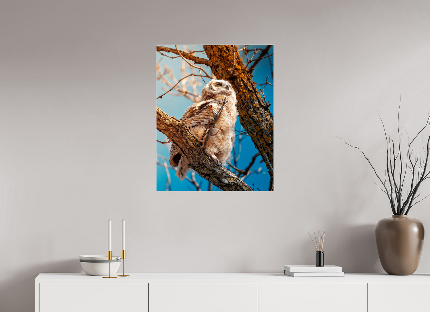 60 x 75 cm, Photo Print Under Acrylic Glass Baby Great Horned Owl
