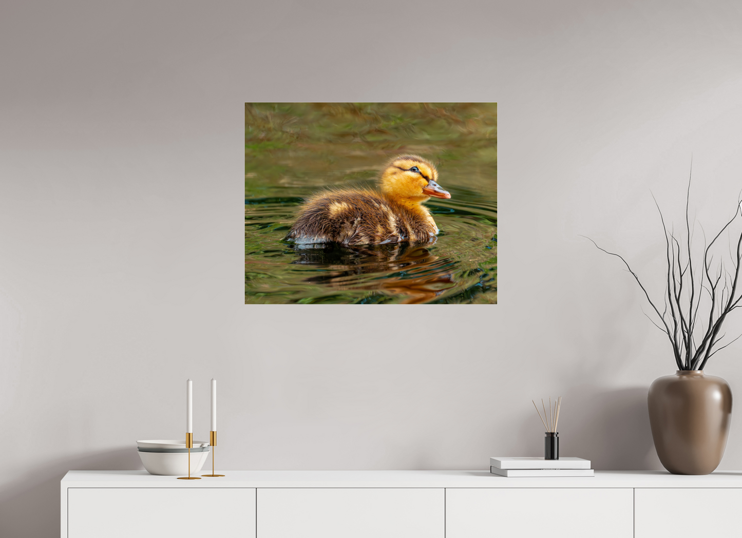 75 x 60 cm, Photo Print Under Acrylic Glass Baby Mallard