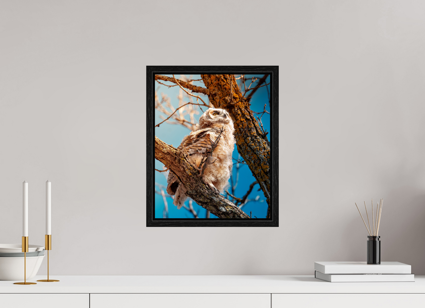 30 x 37.5 cm, Floater Frame Baby Great Horned Owl
