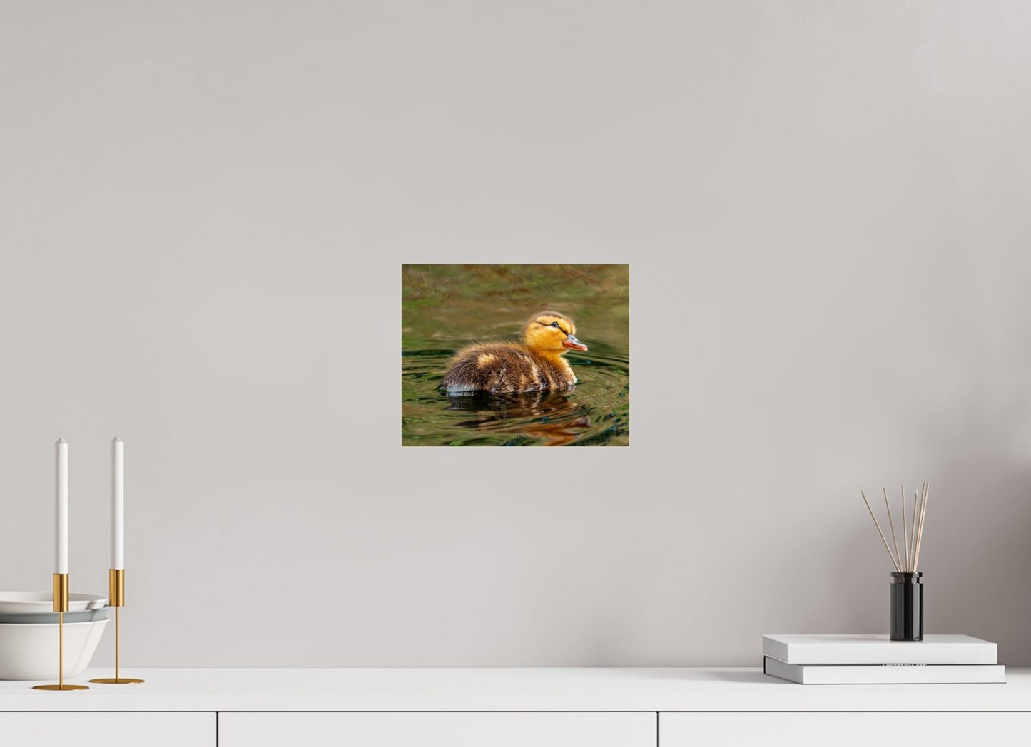 25 x 20 cm, Photo Print Under Acrylic Glass Baby Mallard