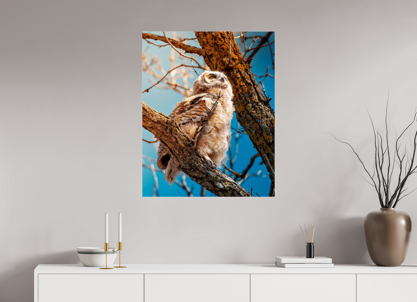 70 x 87.5 cm, Photo Print Under Acrylic Glass Baby Great Horned Owl