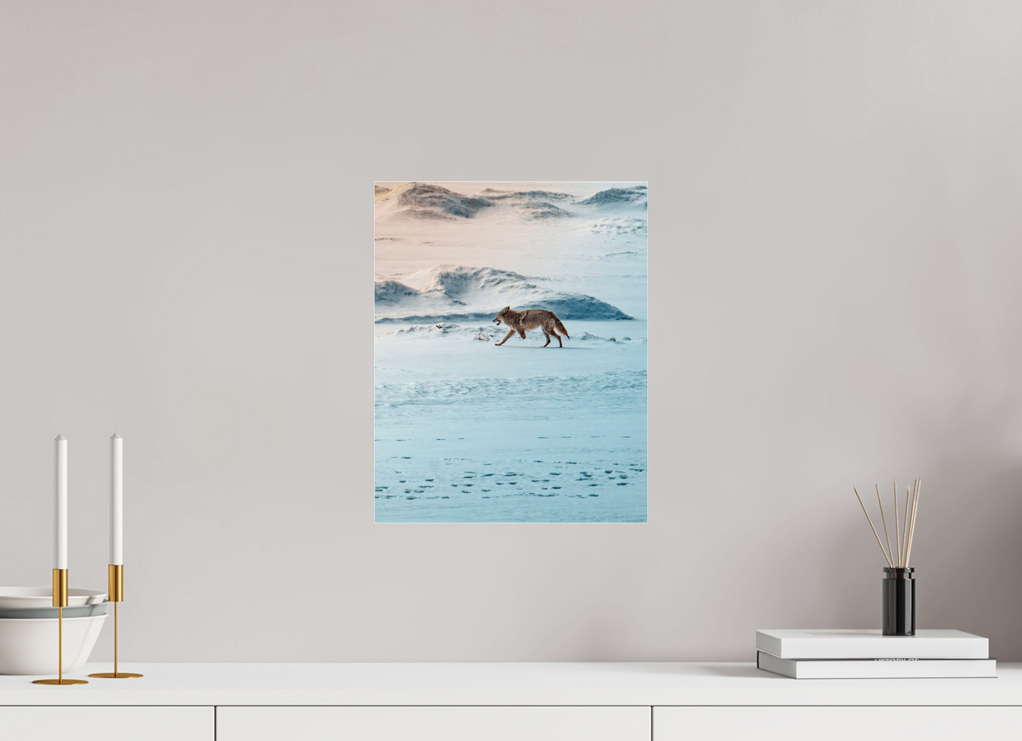 30 x 37.5 cm, Photo Print Under Acrylic Glass Coyote on the frozen river