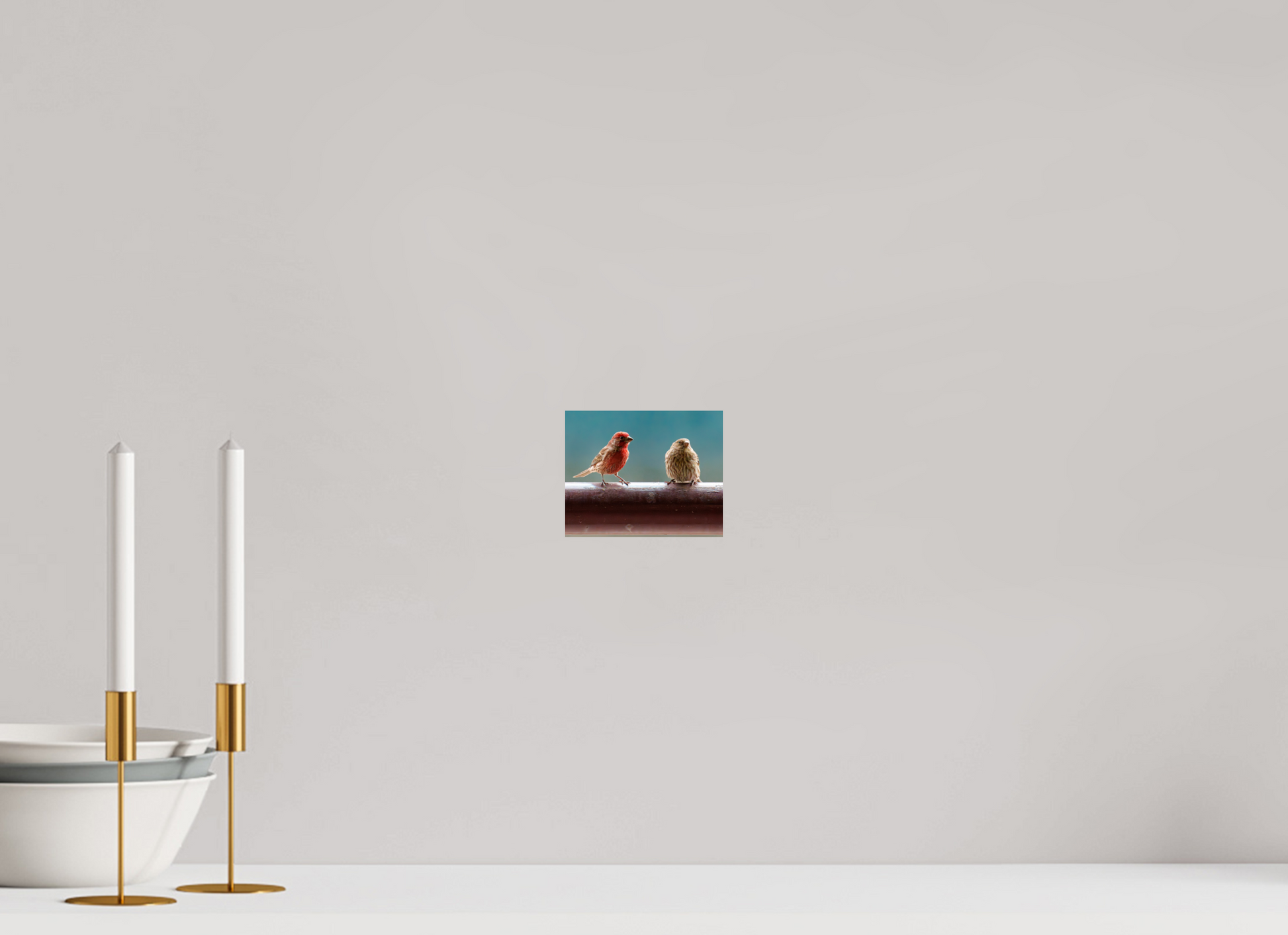 12.5 x 10 cm, Photo Print On Fuji Crystal DP II House Finches