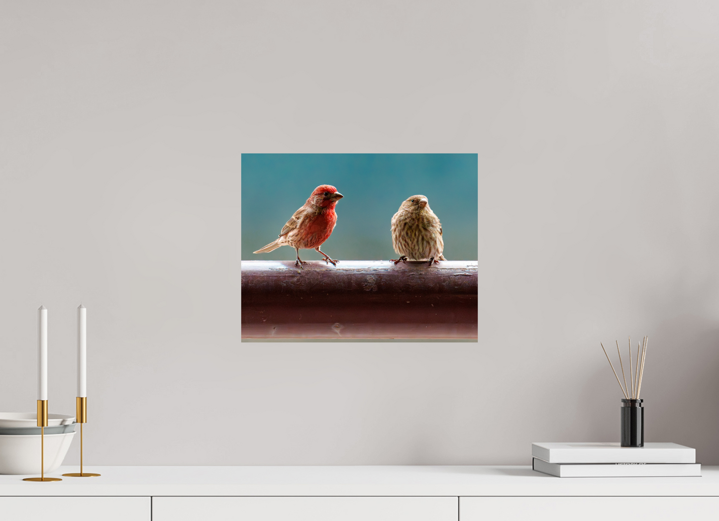 37.5 x 30 cm, Photo Print On Fuji Crystal DP II House Finches