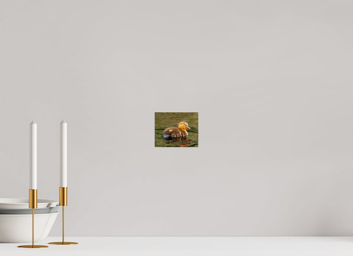 12.5 x 10 cm, Photo Print Under Acrylic Glass Baby Mallard