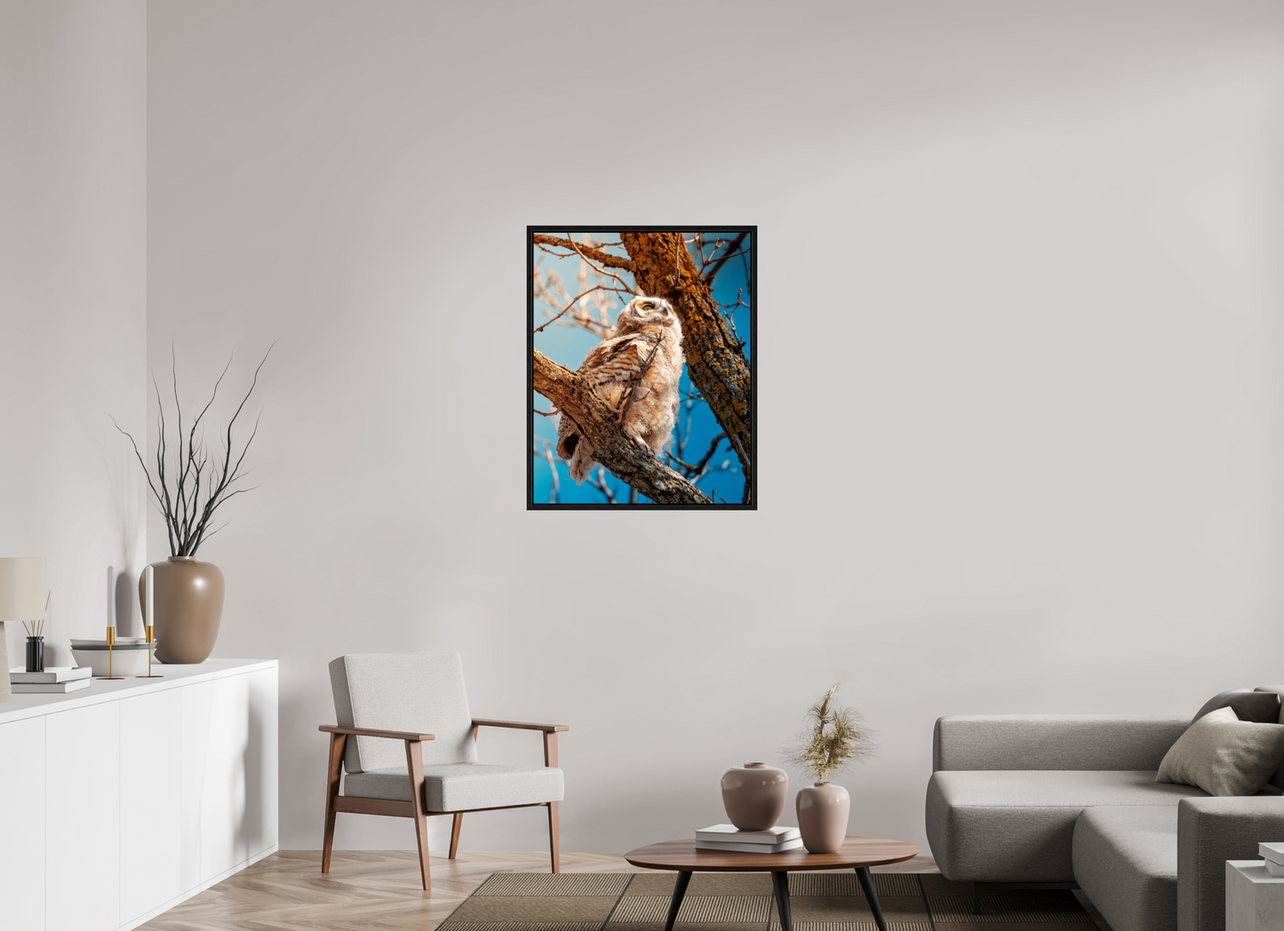 70 x 87.5 cm, Floater Frame Baby Great Horned Owl