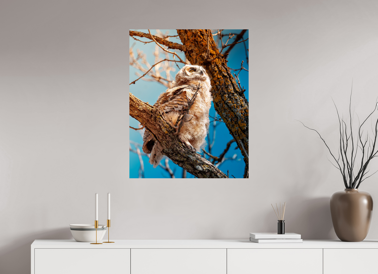 70 x 87.5 cm, Photo Print On Fuji Crystal DP II Baby Great Horned Owl