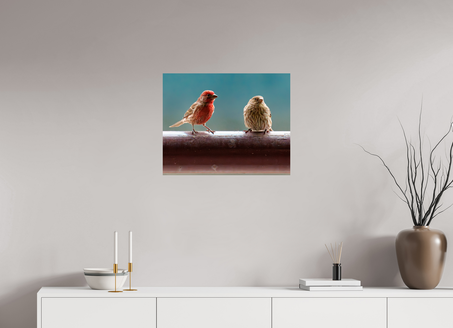 62.5 x 50 cm, Photo Print On Fuji Crystal DP II House Finches