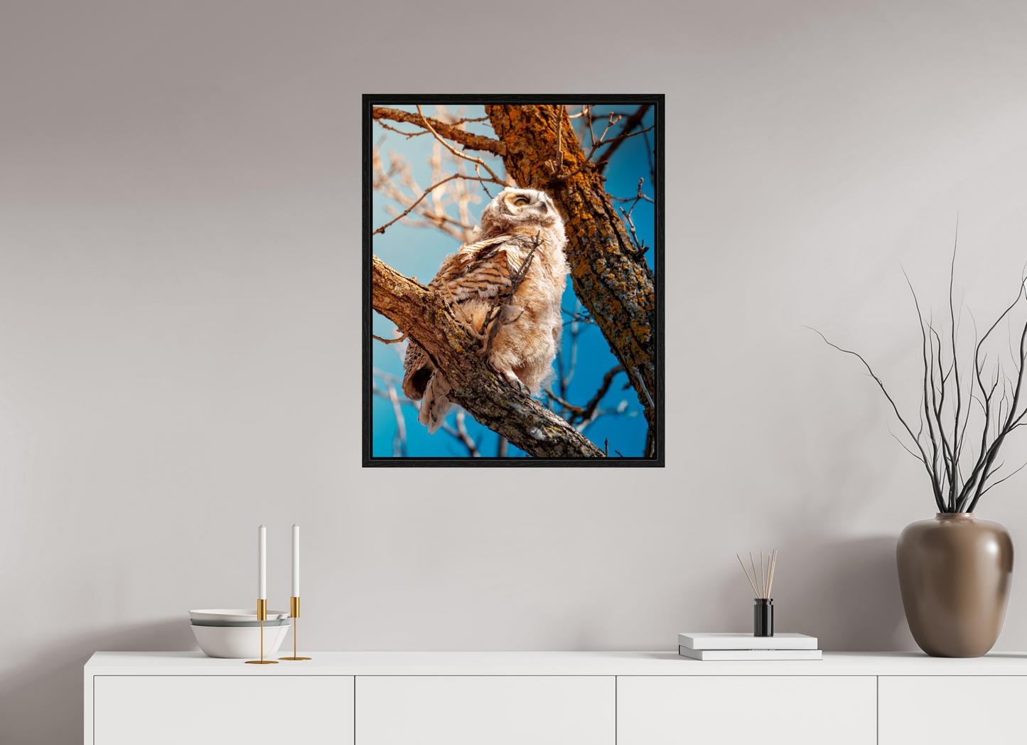 60 x 75 cm, Floater Frame Baby Great Horned Owl