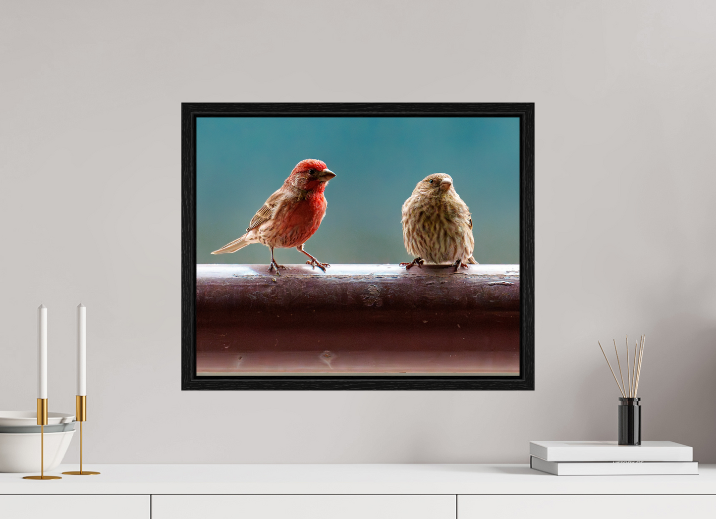 50 x 40 cm, Floater Frame House Finches