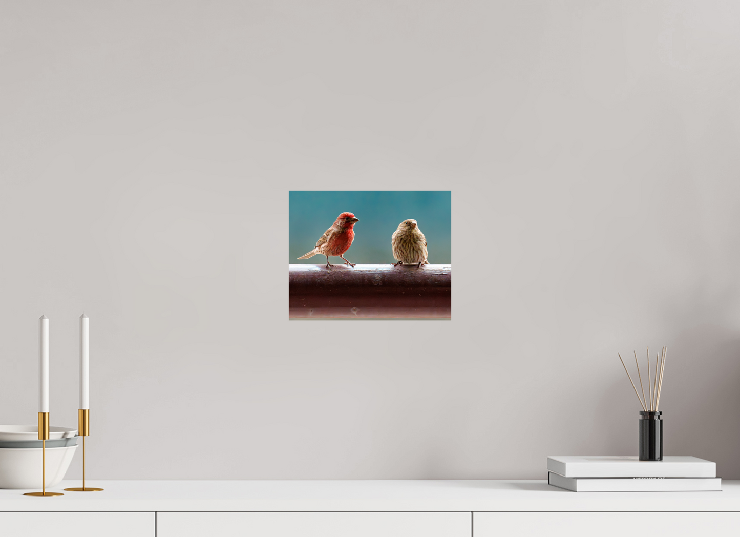 25 x 20 cm, Photo Print On Fuji Crystal DP II House Finches