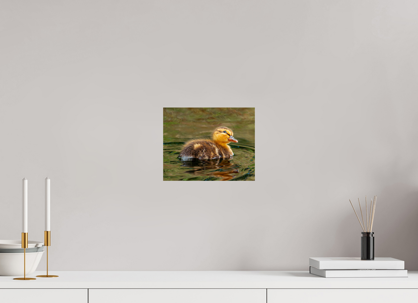 25 x 20 cm, Photo Print On Fuji Crystal DP II Baby Mallard