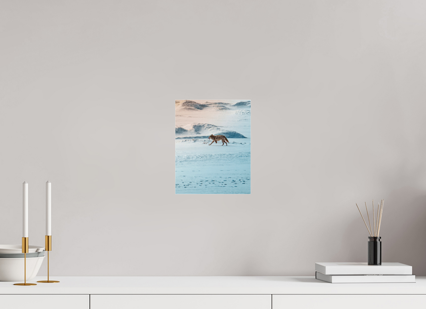 20 x 25 cm, Photo Print Under Acrylic Glass Coyote on the frozen river