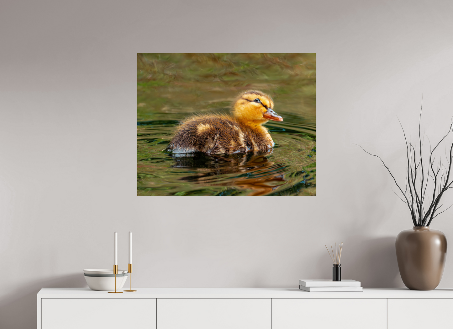 87.5 x 70 cm, Photo Print On Fuji Crystal DP II Baby Mallard