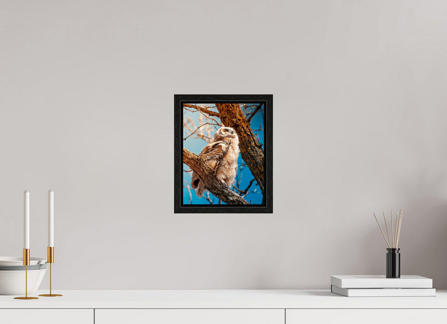 20 x 25 cm, Floater Frame Baby Great Horned Owl