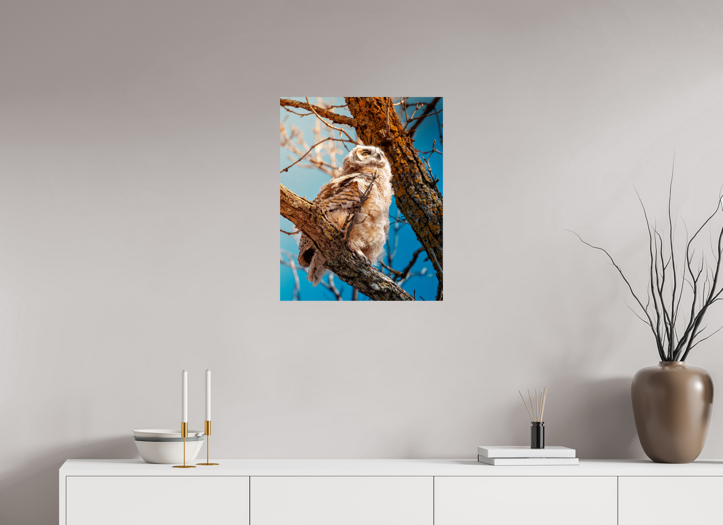 50 x 62.5 cm, Photo Print On Fuji Crystal DP II Baby Great Horned Owl
