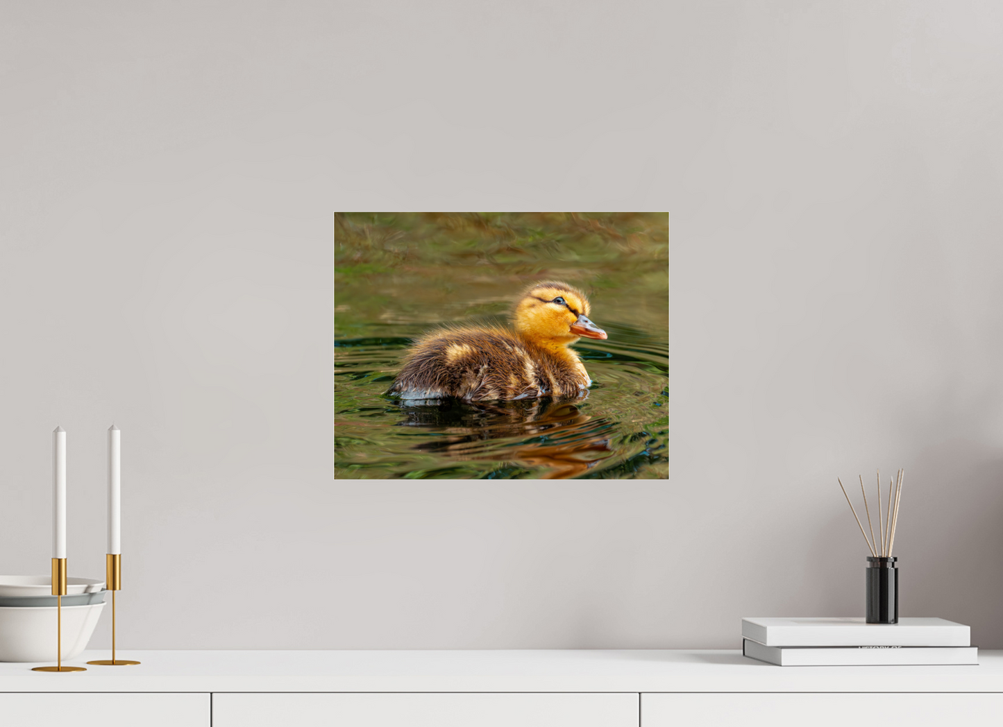 37.5 x 30 cm, Photo Print Under Acrylic Glass Baby Mallard