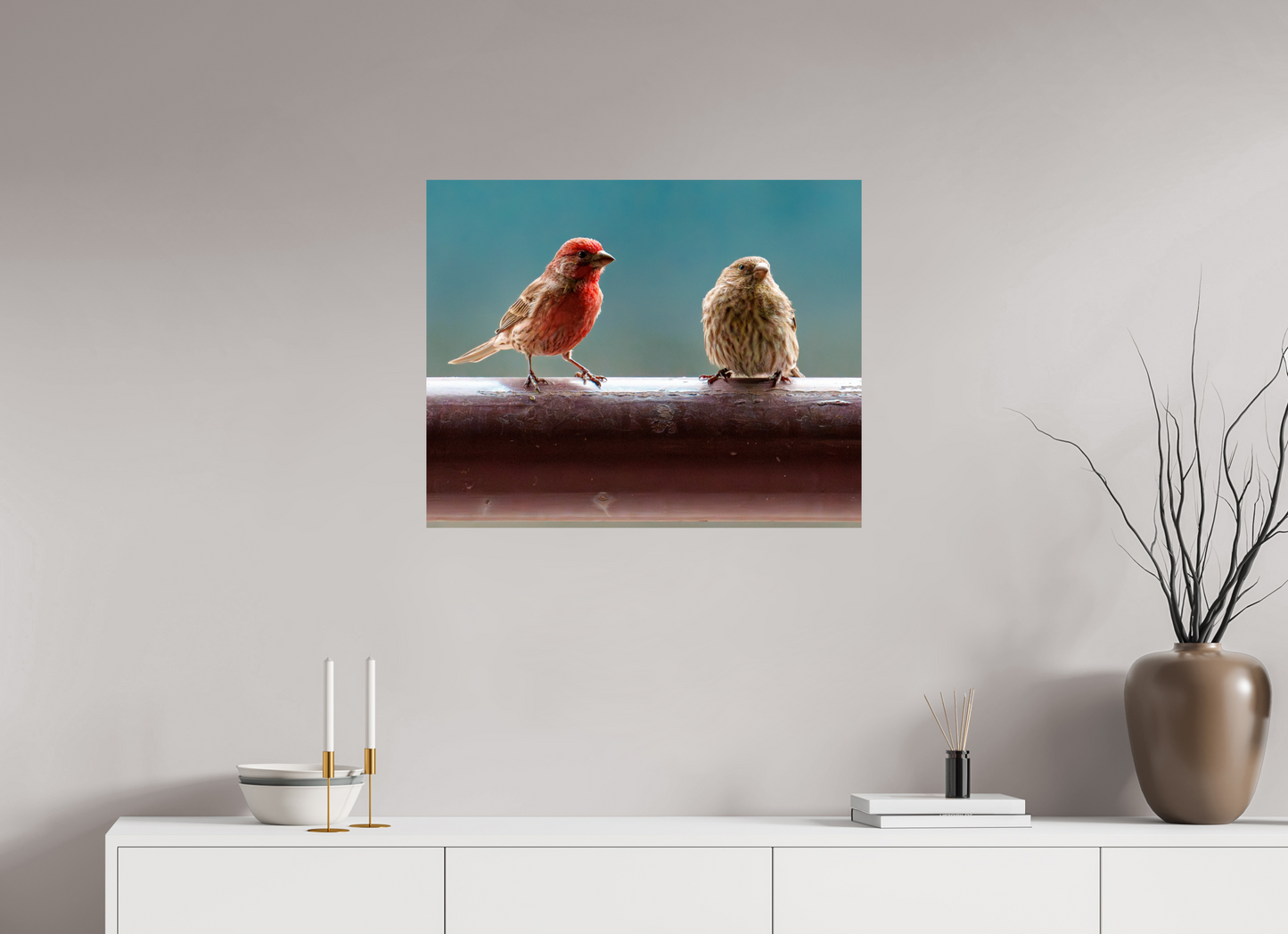 75 x 60 cm, Photo Print On Fuji Crystal DP II House Finches