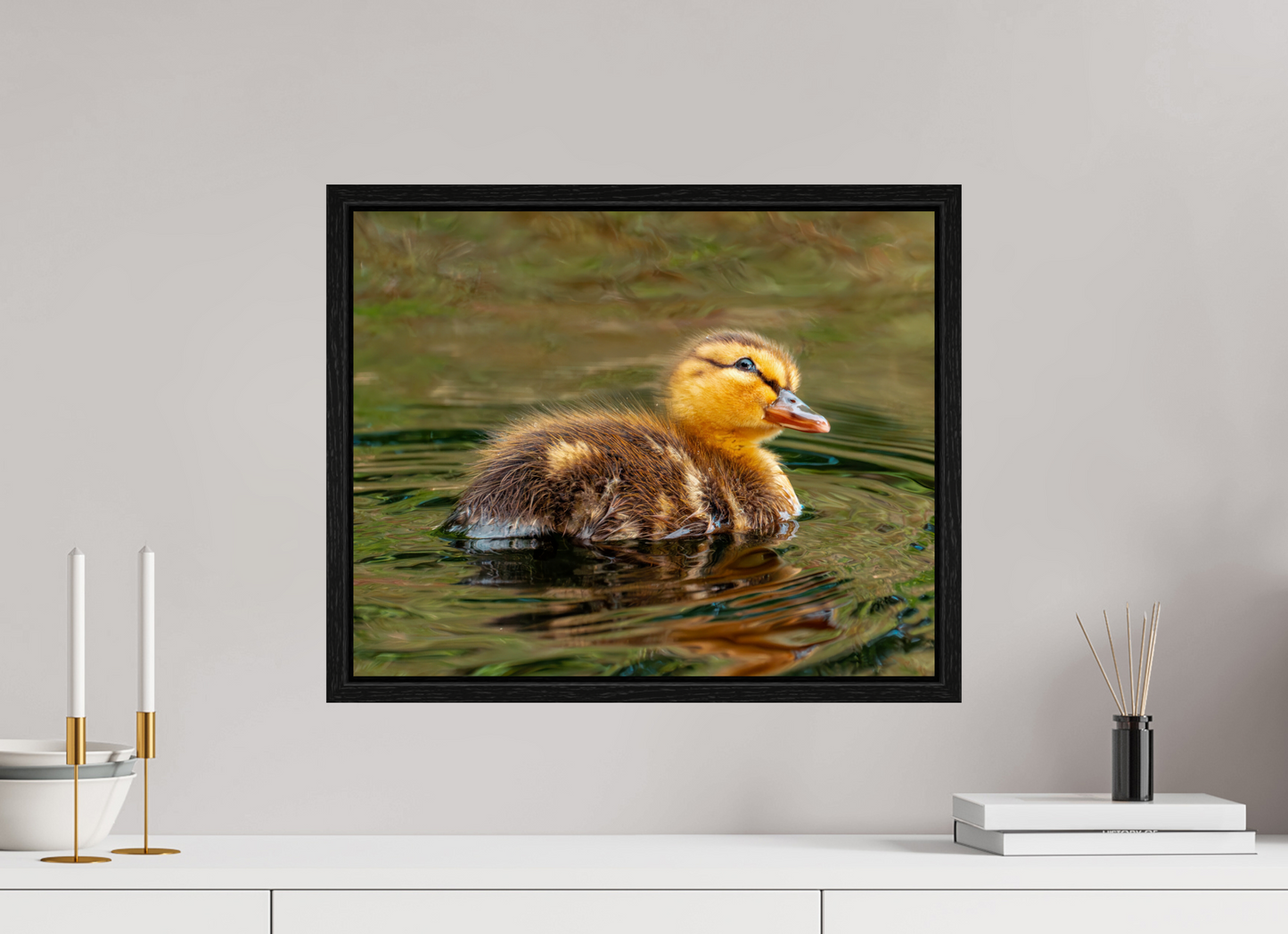 50 x 40 cm, Floater Frame Baby Mallard