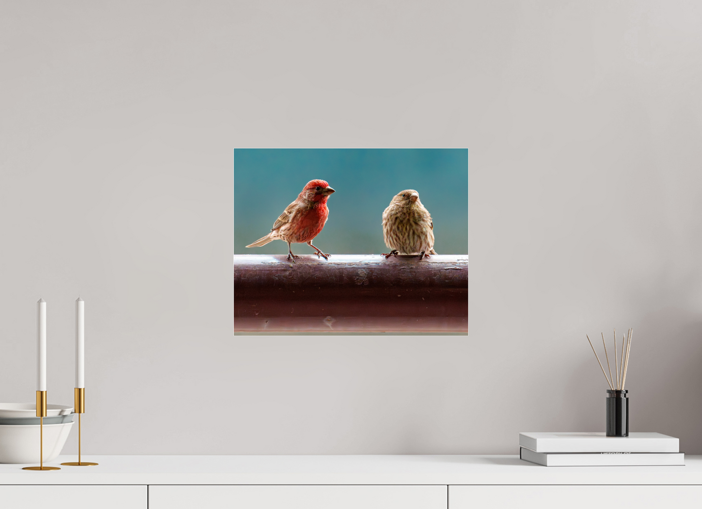 37.5 x 30 cm, Photo Print Under Acrylic Glass House Finches