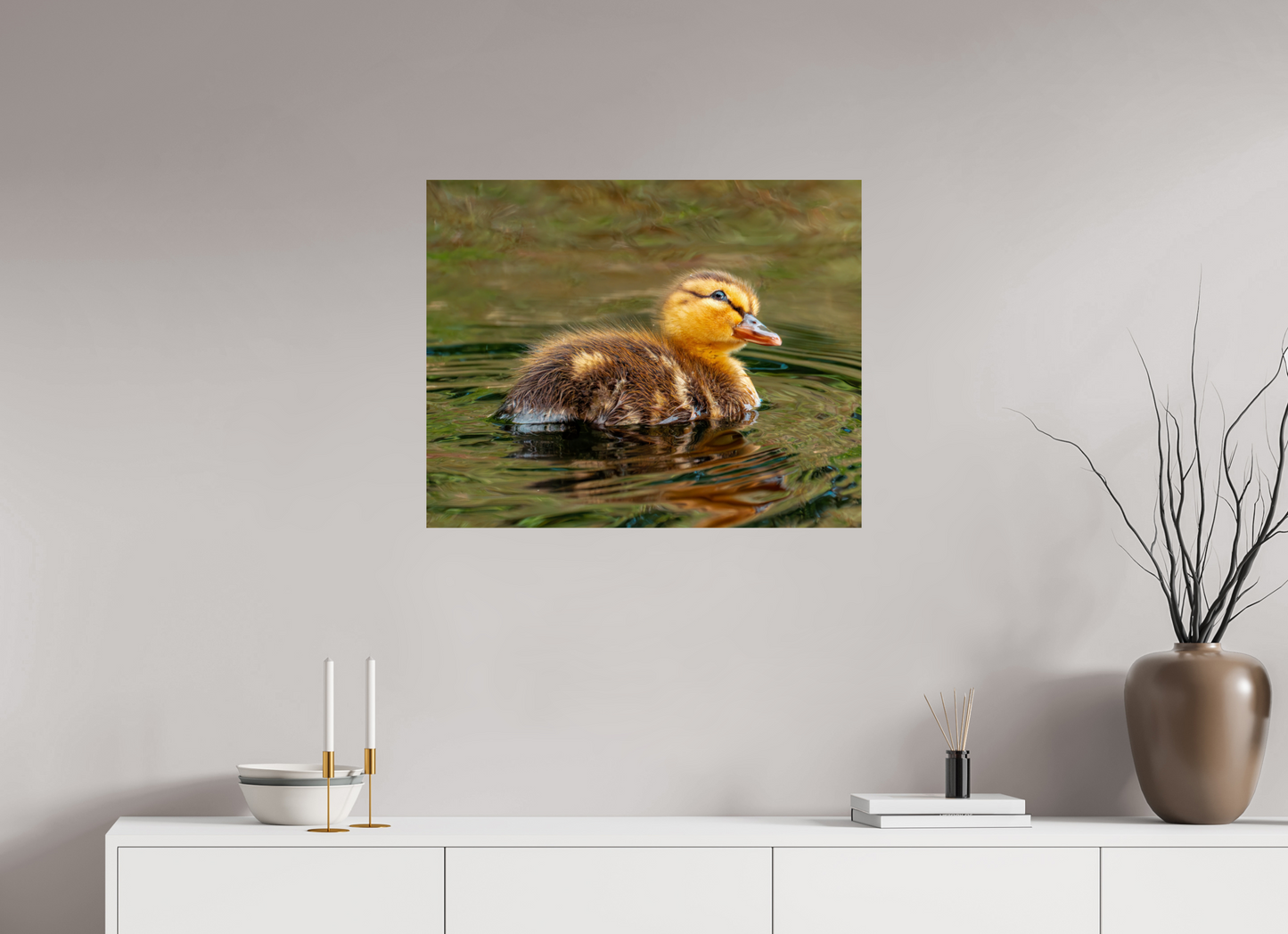 75 x 60 cm, Photo Print On Fuji Crystal DP II Baby Mallard